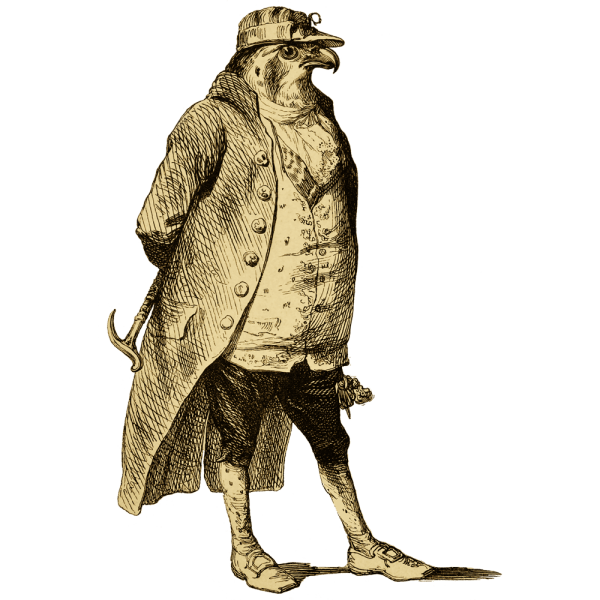 ジェイジェイ・ファルコン